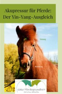 Pferd Akupressur Akupunktur gesunde Fütterung