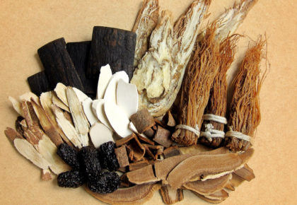 Fütterung TCM Pferd