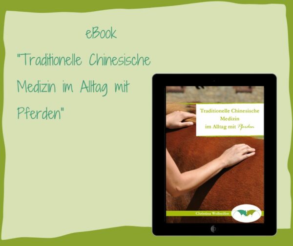 eBook TCM Traditionelle Chinesische Medizin Pferd Akupressur