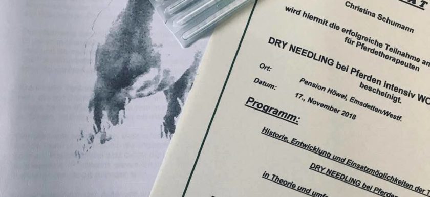Dry Needling Pferd Düren