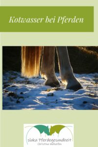 Kotwasser Pferd Ursachen gesunde Pferdefütterung Traditionelle Chinesische Medizin