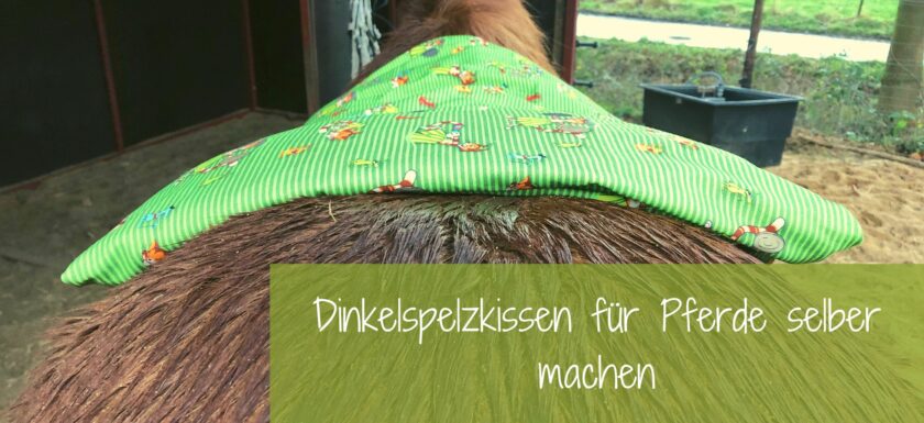 Dinkelspelzkissen Pferd DIY gesunde Pferdefütterung Akupressur