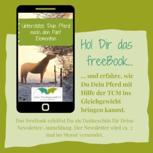 TCM Pferd Akupressur