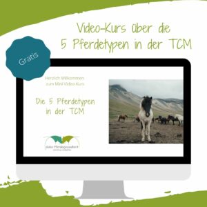 Die fünf Pferdetypen in der TCM Webinar Onlinekurs Pferd Akupressur Düren