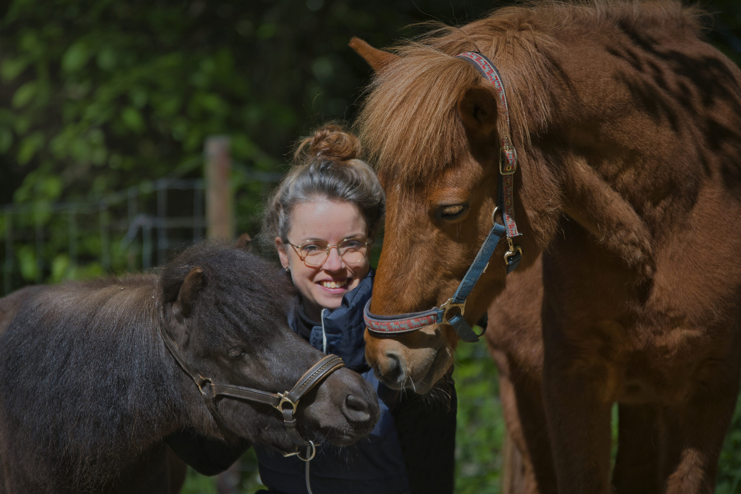 Pferd TCM Akupunktur Ernährungstherapie Physiotherapie Düren